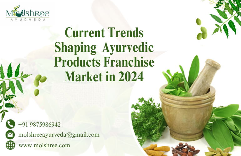 Current Trends Shaping the Ayurvedic Products Franchise Market in 2024