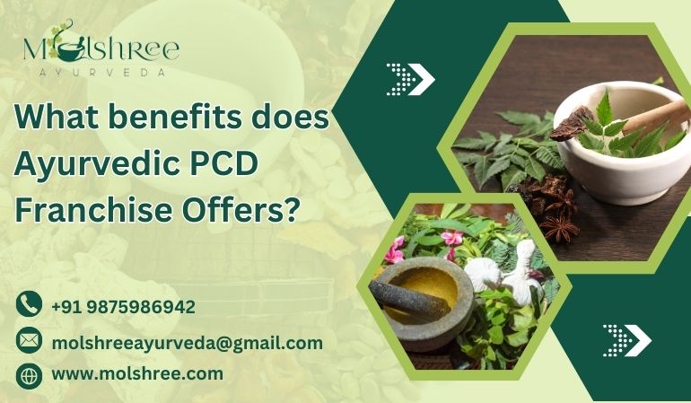 Ayurvedic PCD Franchise Companies in India